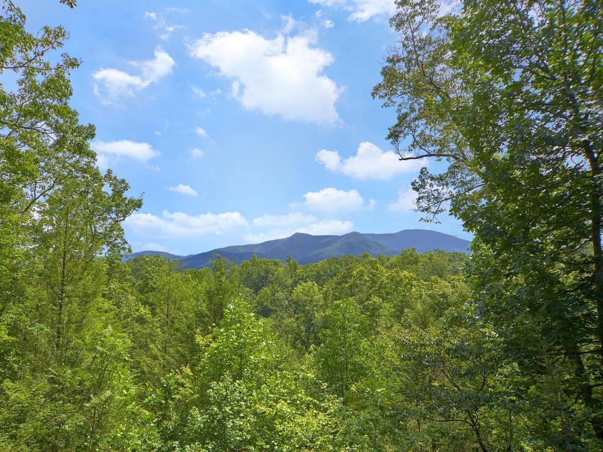 Dew South Βίλα Gatlinburg Εξωτερικό φωτογραφία